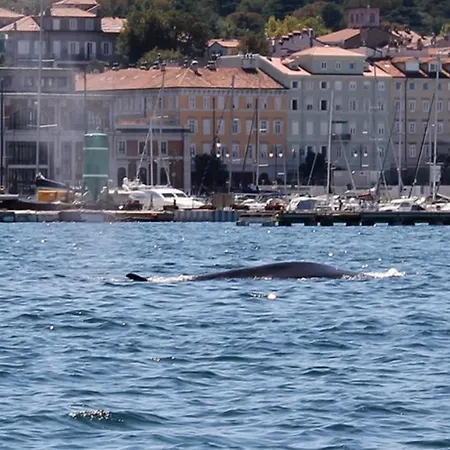 Mary Poppins's House לינה וארוחת בוקר טריאסטה