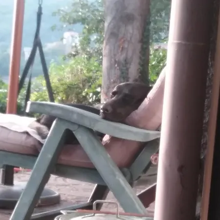 לינה וארוחת בוקר Mary Poppins's House