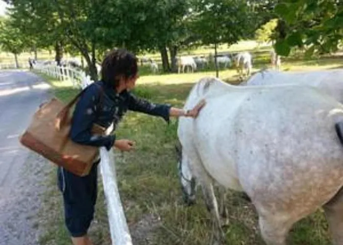 Bed & Breakfast Mary Poppins's House