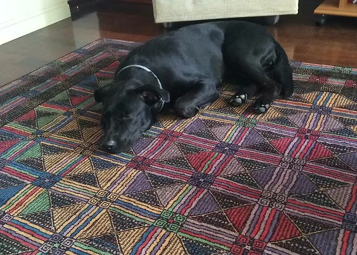 Mary Poppins's House Trieste